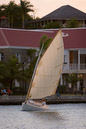 _MG_0241