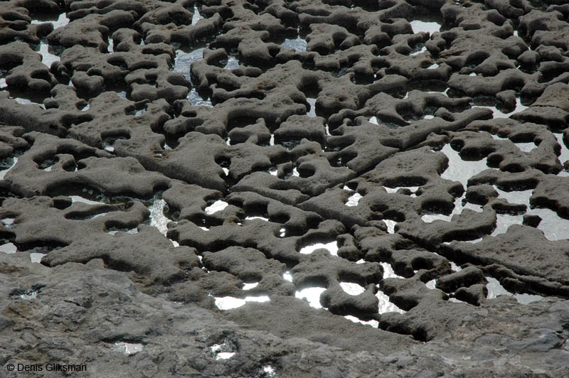 1_DSC0064