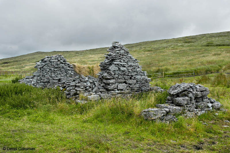 2_DSC0019