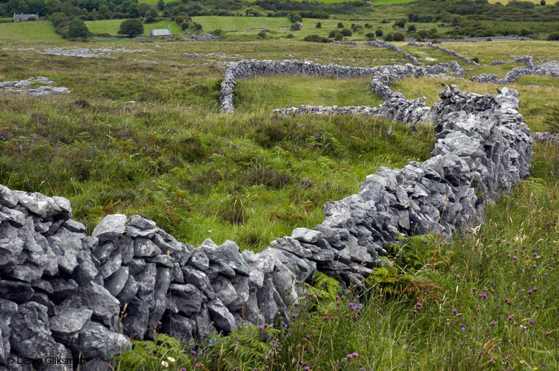 2_DSC0044